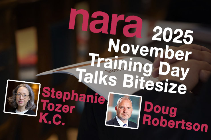 2025 November Training Day Bitesize: Dealing With Allegations Of Sale At An Undervalue